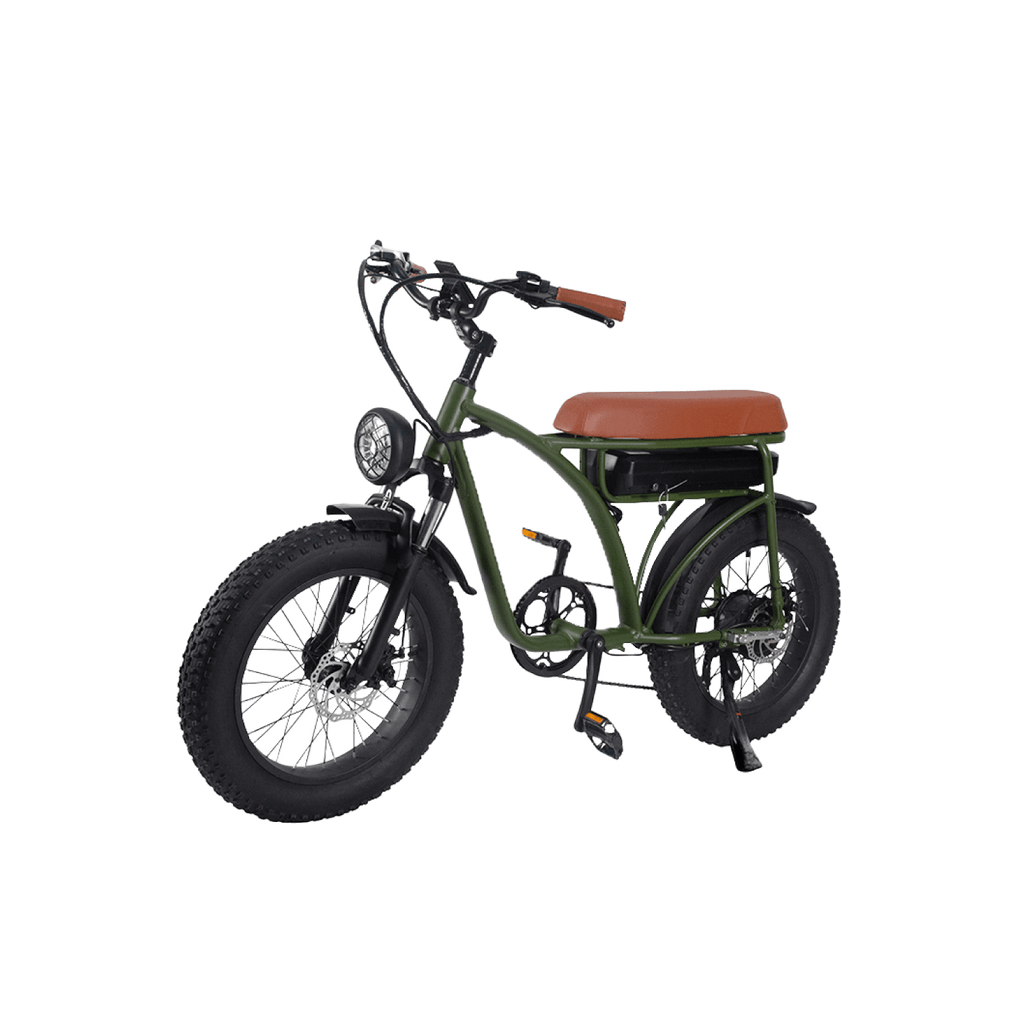 BICICLETA ELÉCTRICA THUNDER