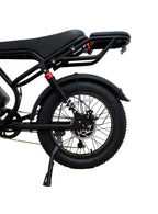 BICICLETA ELÉCTRICA THUNDER