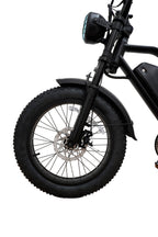 BICICLETA ELÉCTRICA THUNDER