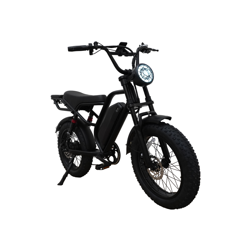 BICICLETA ELÉCTRICA THUNDER